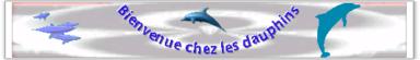 http://www.les-dauphins.net 